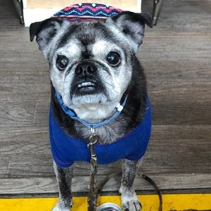 Meet your Posher, Matthew